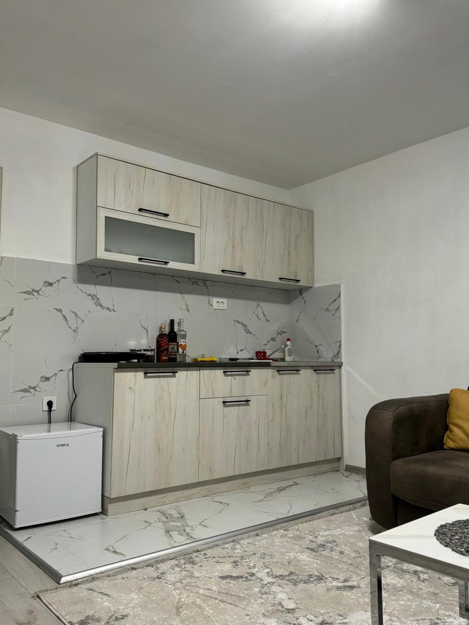 Apartment Airport Dd Mitrovici  Екстер'єр фото